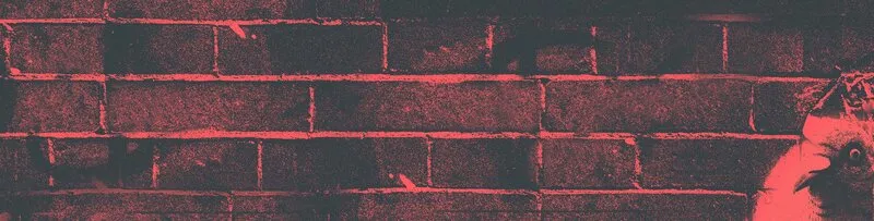 Pavement Coffeehouse